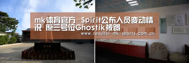 mk体育官方-Spirit公布人员变动情况 原三号位Ghostik被踢(图1) mk体育