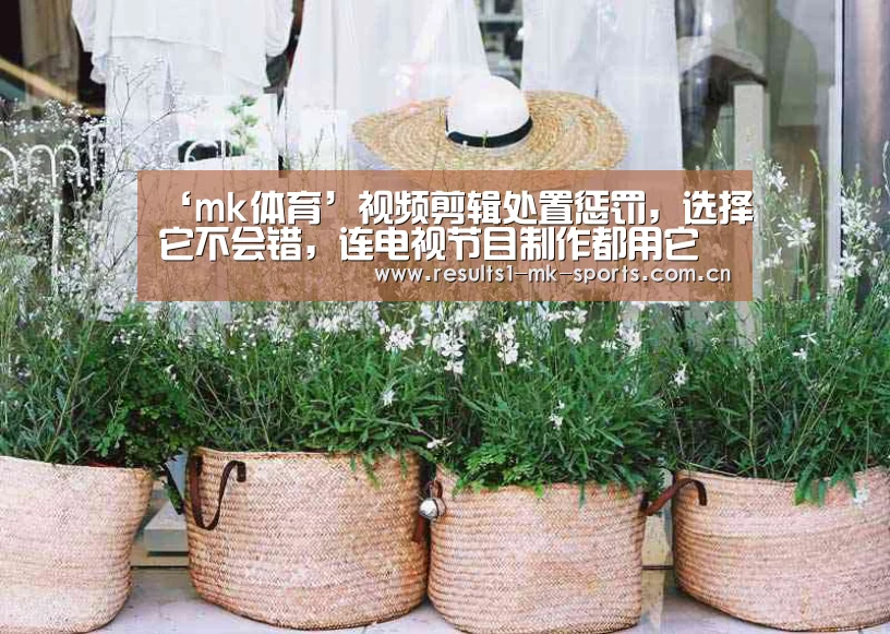‘mk体育’视频剪辑处置惩罚,选择它不会错,连电视节目制作都用它(图3) mk体育