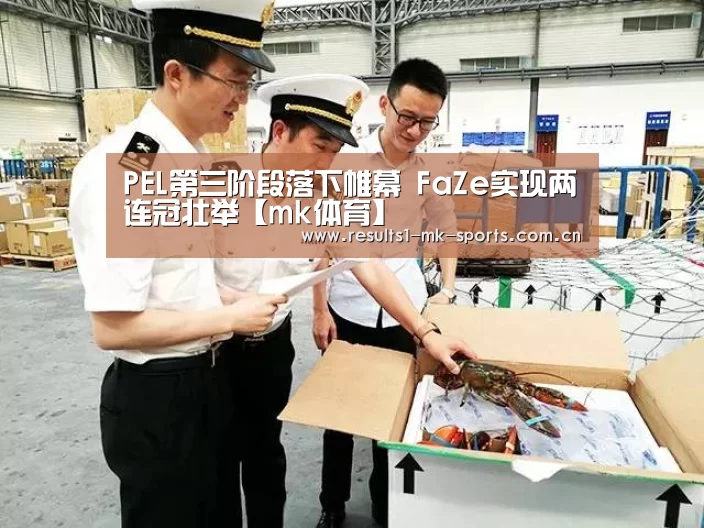 PEL第三阶段落下帷幕 FaZe实现两连冠壮举【mk体育】