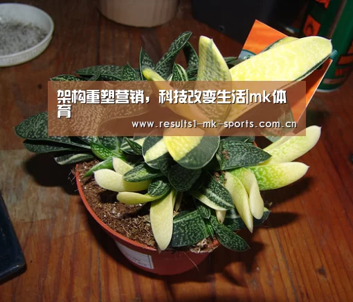 架构重塑营销,科技改变生活|mk体育(图3) mk体育